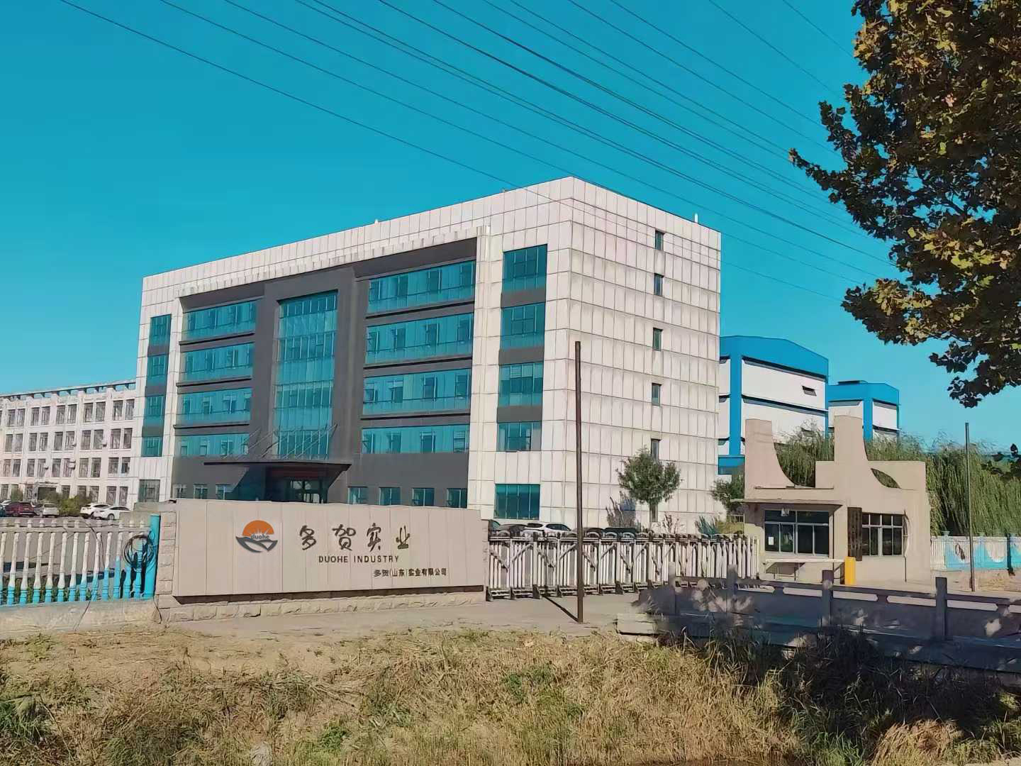 Shandong Duohe Import And Export Co., Ltd.